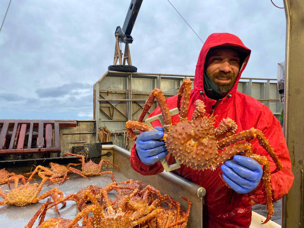 Wild Alaskan Golden King Crab - Wild Tide Seafoods